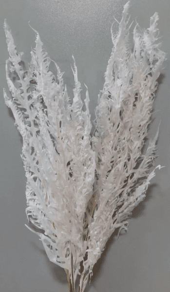 product_7cf81c93c91501241932c20a291219b3