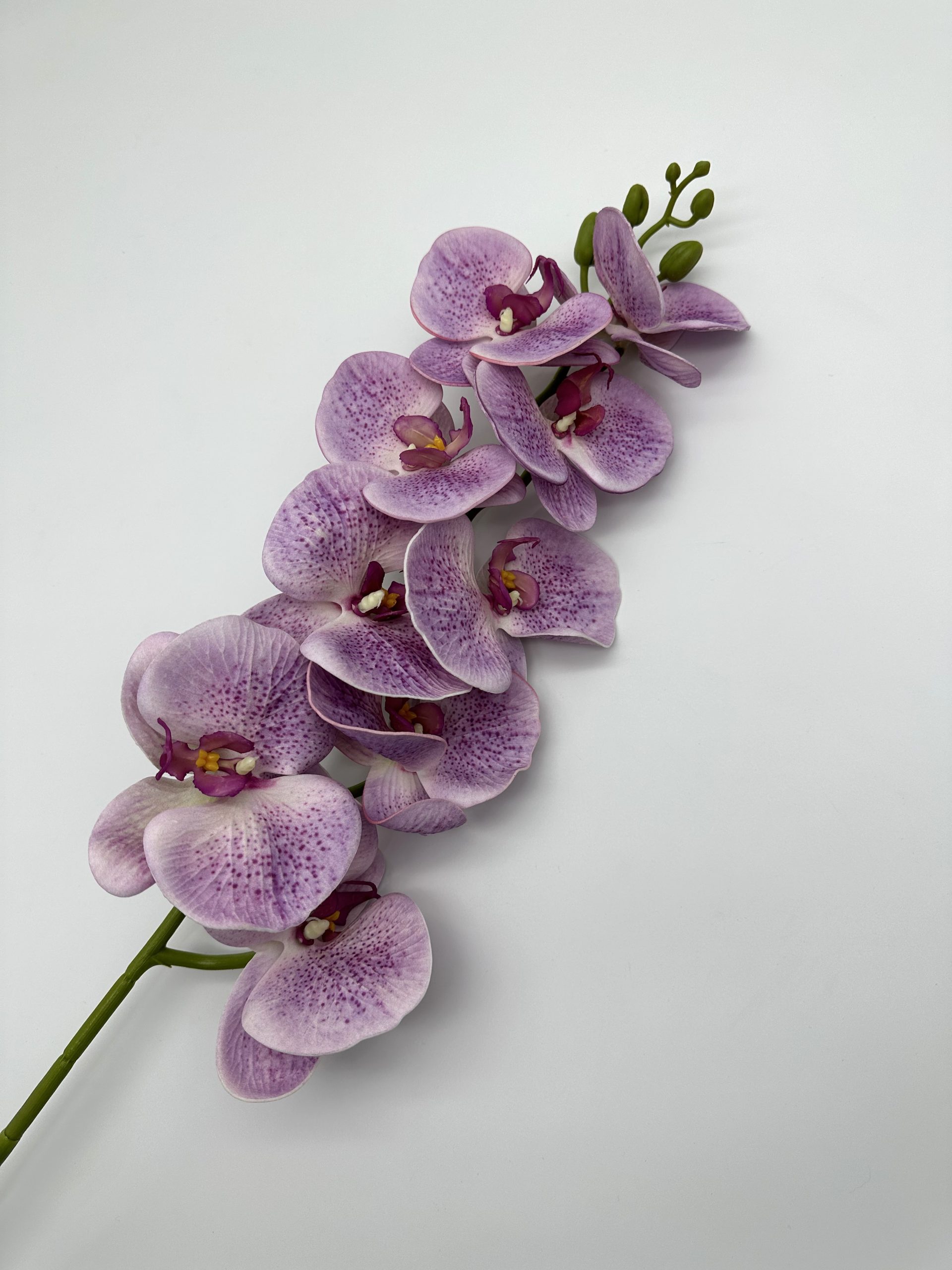 product_834c99be701fd776c1d23fbb6e17143a