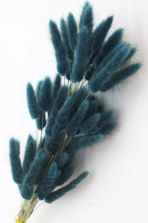 product_841fbd11d9c32ba28fe192726c5ab047