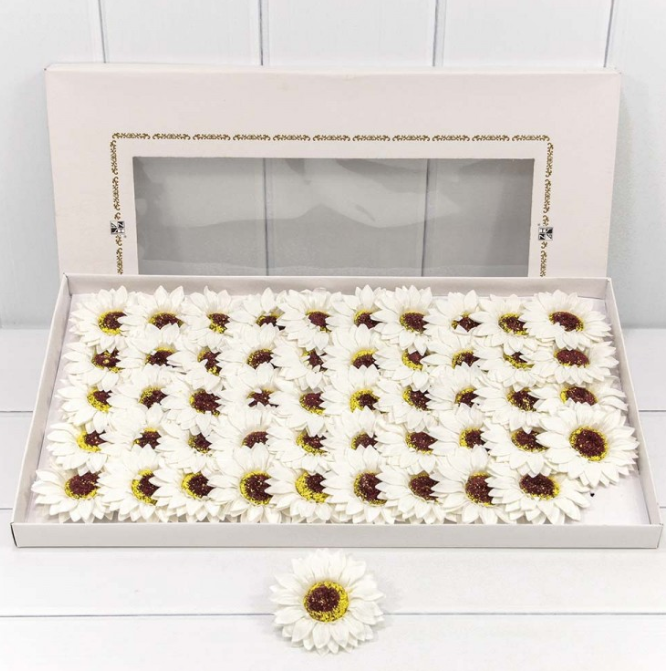 product_865468539e3fdc0585f28d45a43a89ea