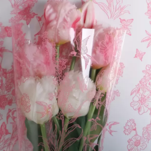 Пленка цветная 60см Ласточки розовый туманный