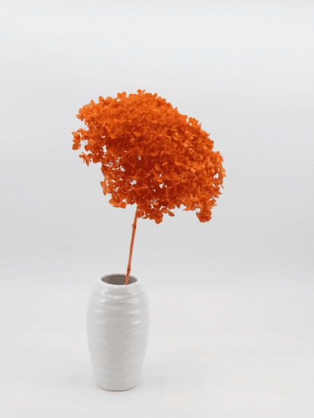 product_86acb16cede06d4b8429d38921d1a0e4