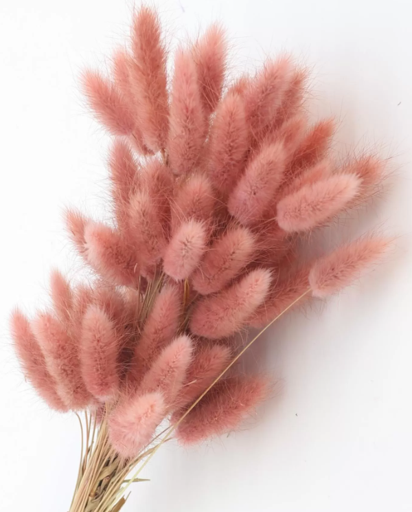 product_8851e482be79e889913038edeee0ec98