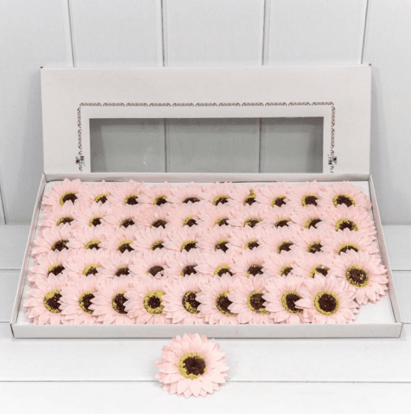 product_8c10010757220a177c2fcd22f65e840d