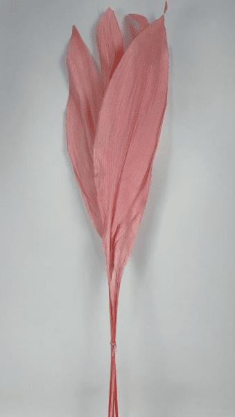 product_8d5b97e79bbfb07a1ada128611a751a9