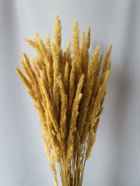 product_94194e16d0089b19ad43ea38329bcf3a