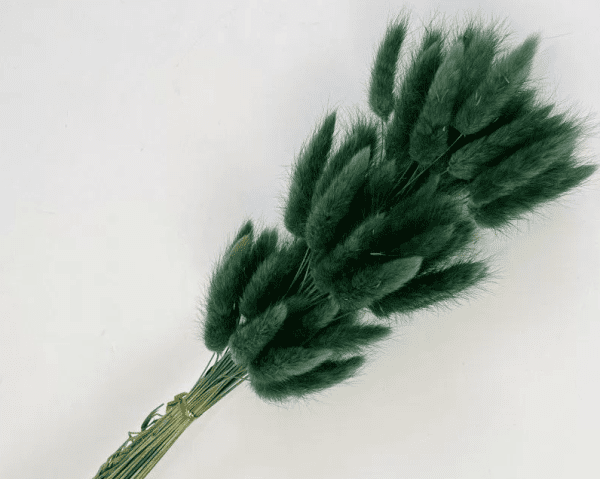 product_9667437eb0e8c748eaa2a511a792b326