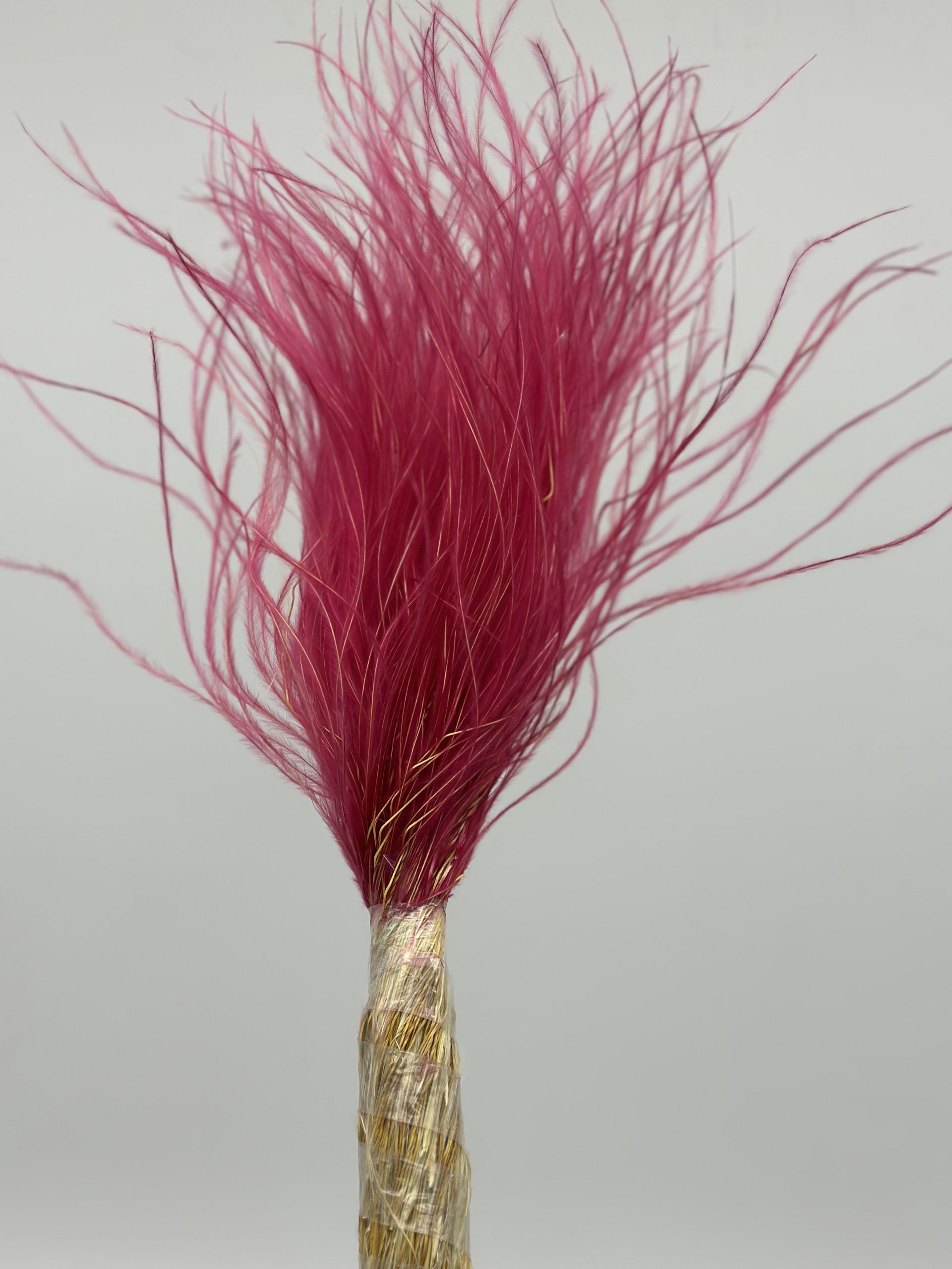 product_9717e7d569211fa48866b8856dca9d71