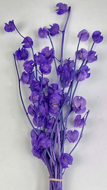 product_97fb77c661ca725b5a082724f9e6846d