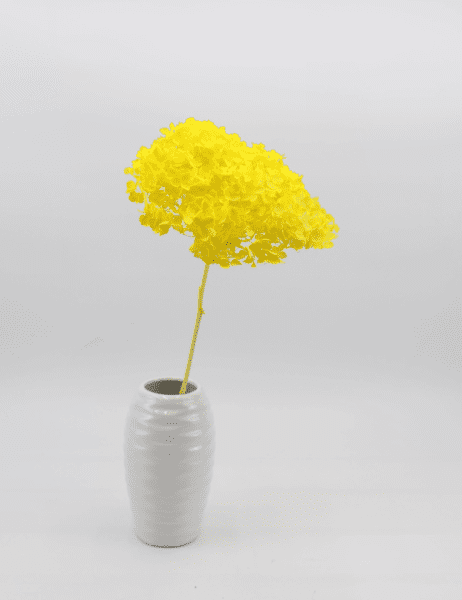 product_9db4a7762944187b7bed6ddce5162a0f