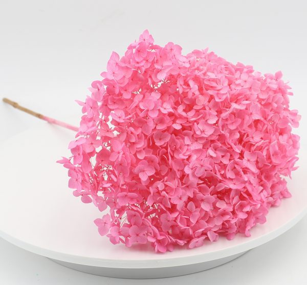 product_a6f2cde51a759f1e5340d11a08d65b9a