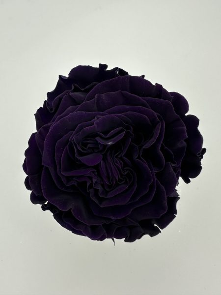 product_a700080896c2a62d300026d9169ec3ca