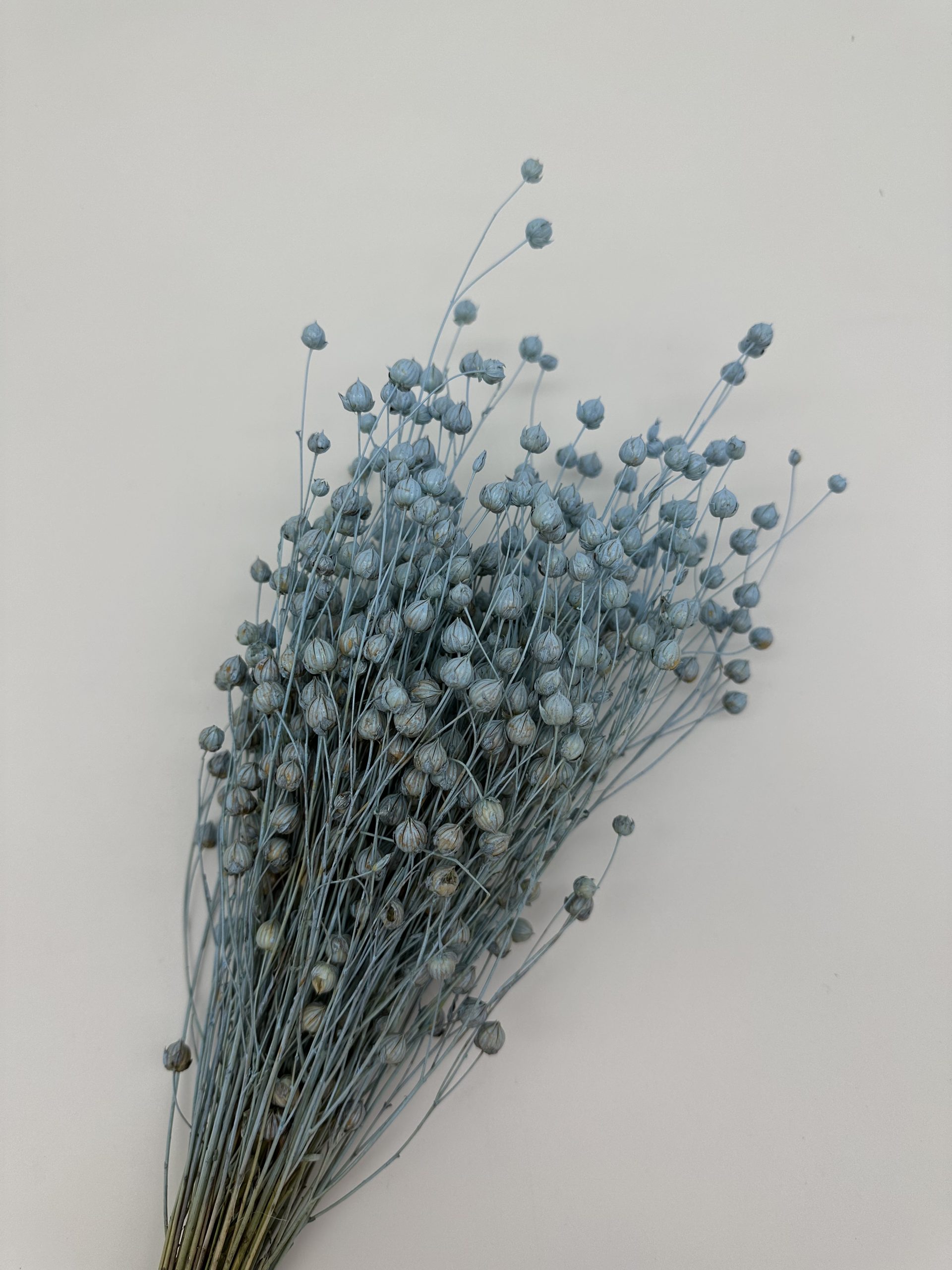 product_a910cc8c39b7ca9bee2f0214fcab7783