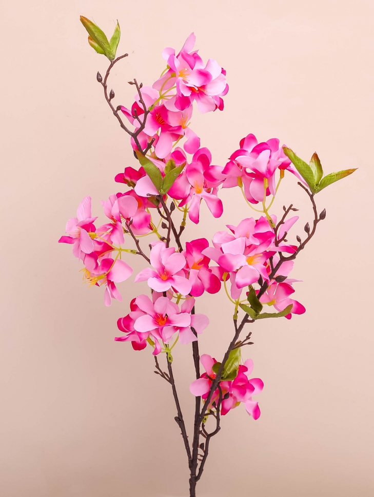 product_aa70bf6bdb38da8423072ad68e043ce0