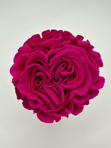 product_aaaf7725a203e50574ae58e4c486459b