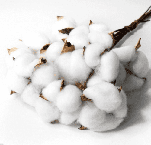 product_ad441d6fa42bc46b2adc85429d7872de