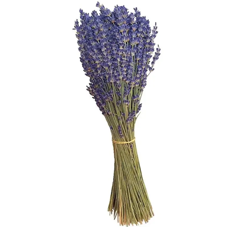 product_aecb1c1deb0db78e4e2541f02ec2e80d