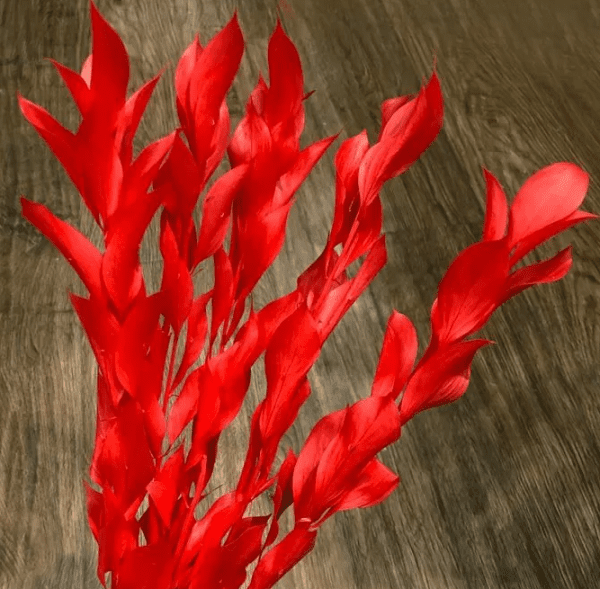 product_b5746583fde8d18cf3e9578eb51ad6fa