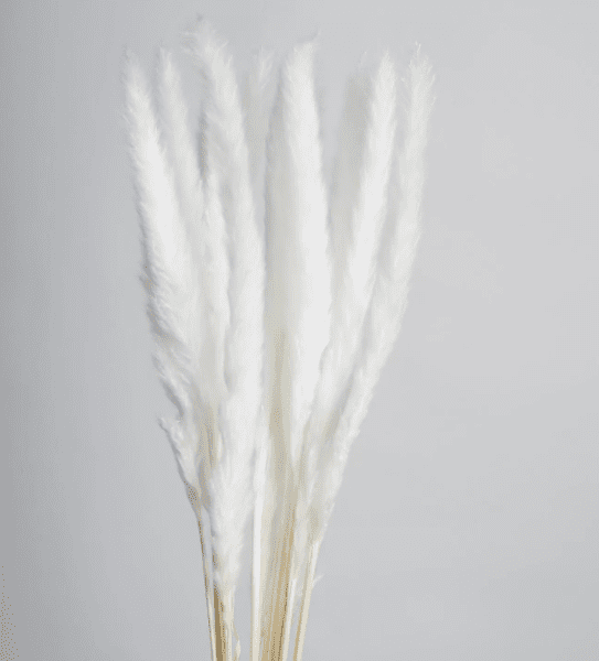 product_bc9edffef0aebc36a0b3e0e2b0ed8d9b