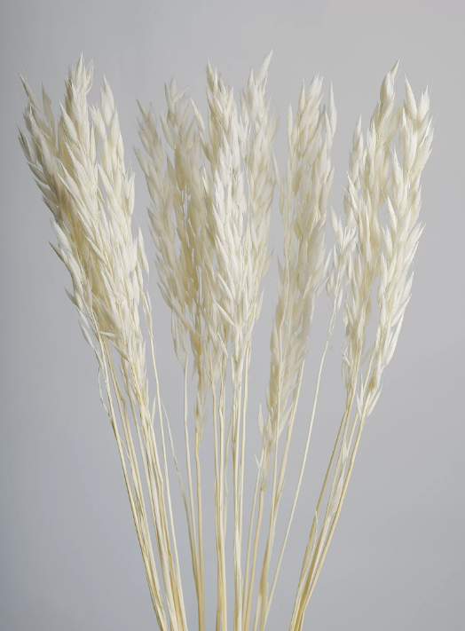 product_bd073f51662fd2587637fa538c23ddba