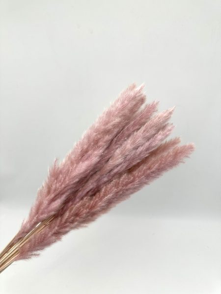 product_bf3c53ec18b35cdcfcbecd9cee63bfc3