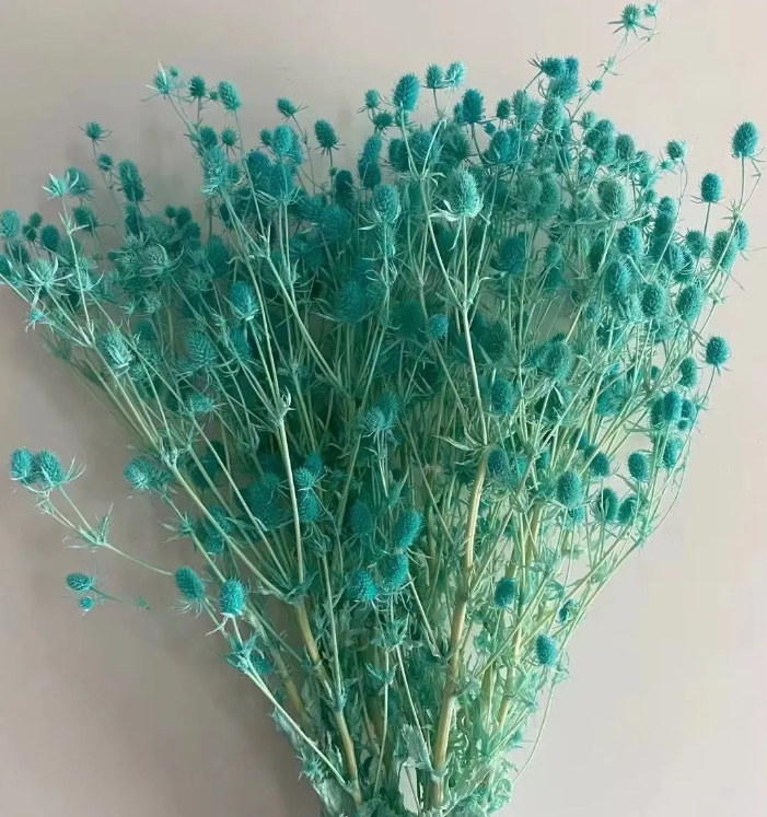 product_c04a63739138e363bab32595896b1213