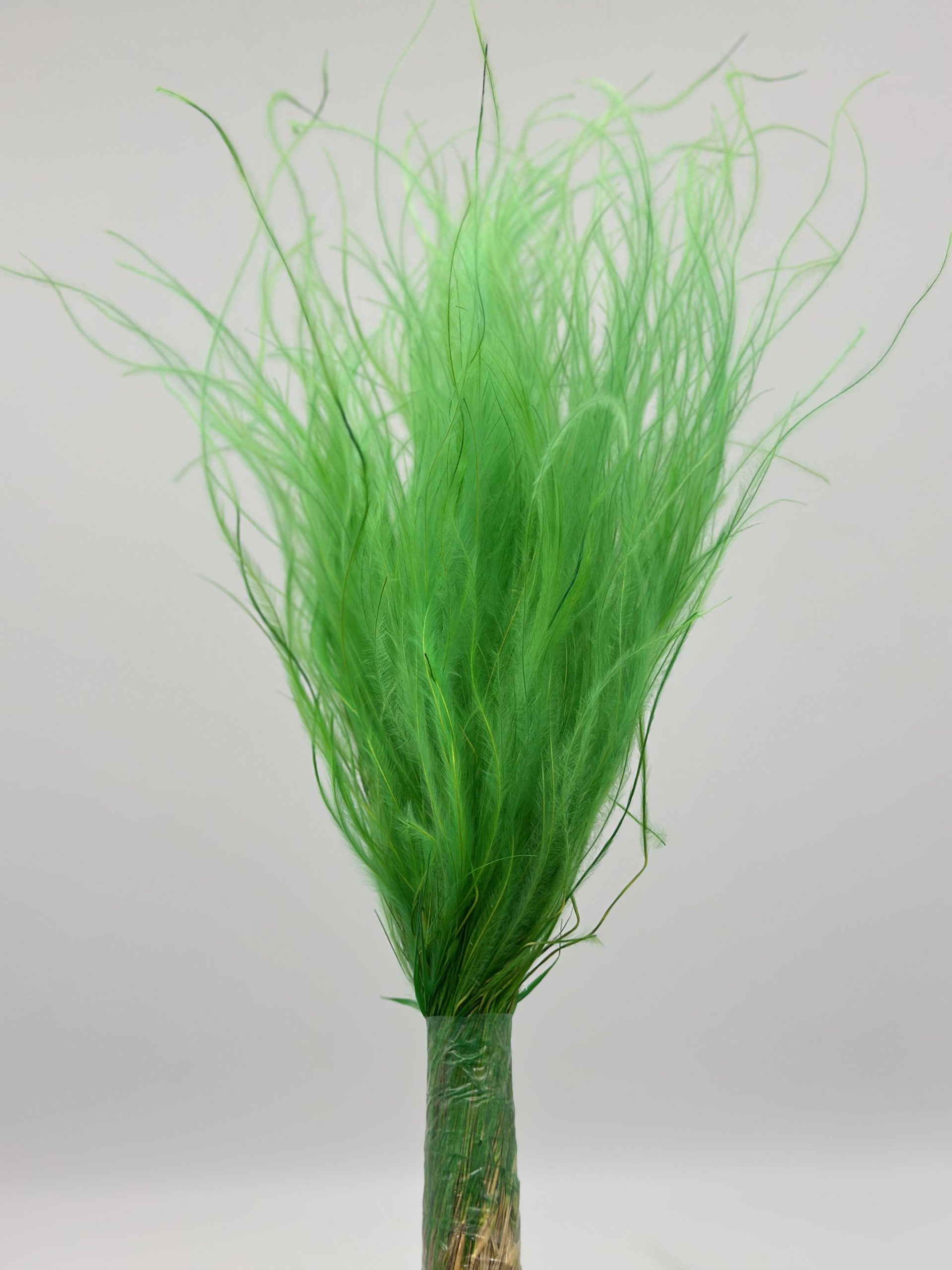 product_c48e6e4a923aaadf68f475923b64b54b