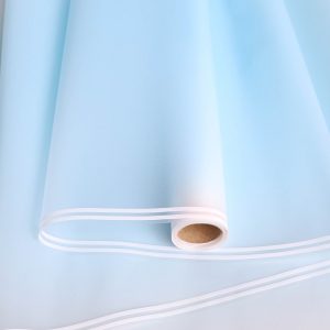 Пленка матовая 50мкм 58см х 10м прозрачный кант голубой