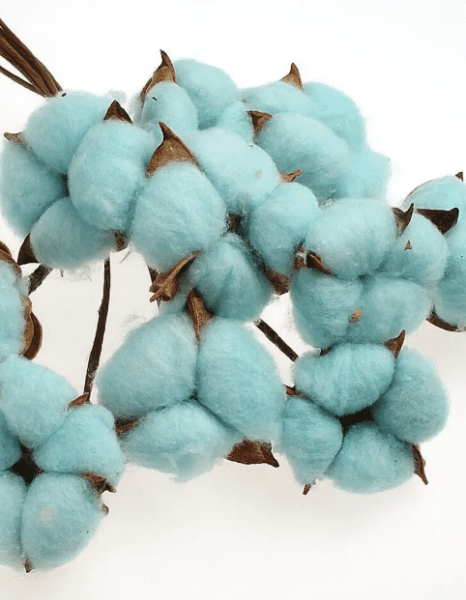 product_c49fd5cb1cbffc96186baa8dfc55df38