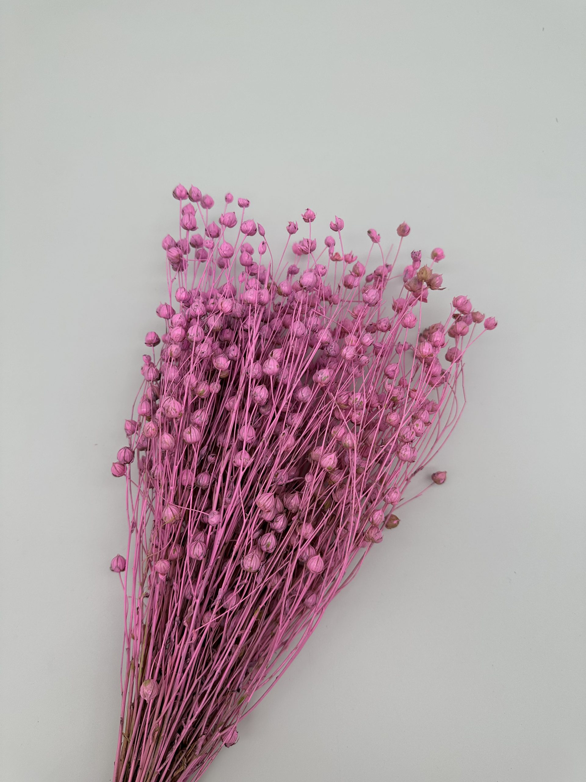 product_d236ca3fb0249553cf7226aed41113a0