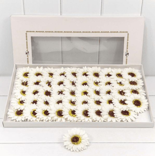 product_d252914a03777c23c6456a3ef8b3cbf1