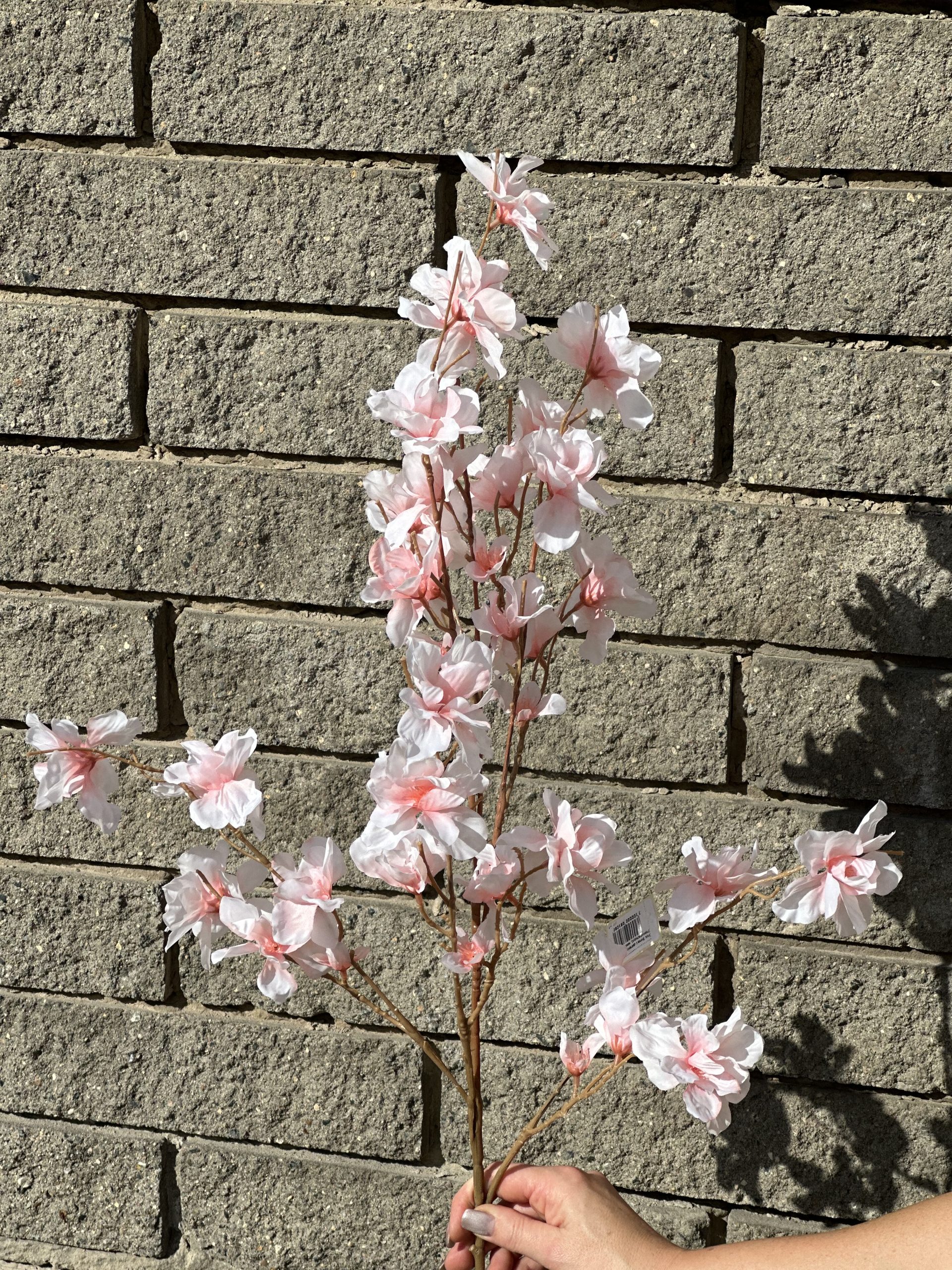 product_d827e754df1e2d29b2c1559554cabee1