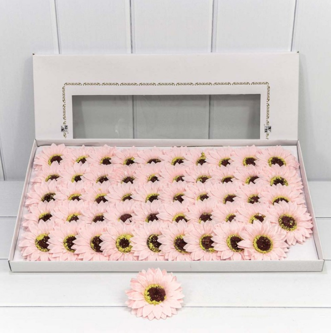 product_d833a18422aeab614b33af2db8e3a282