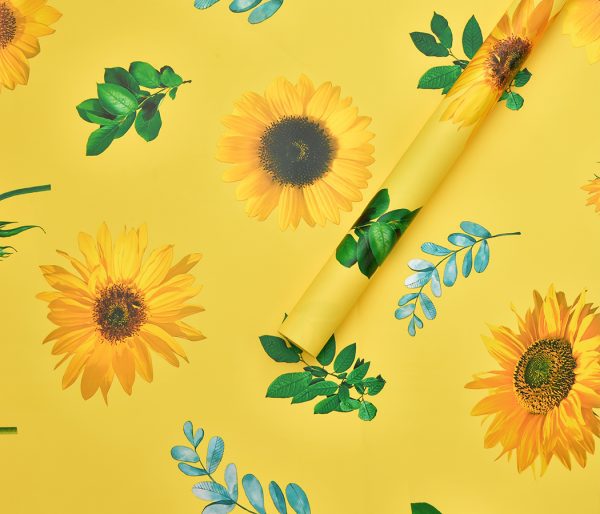 product_d9e85795993d059248129970db18eea7