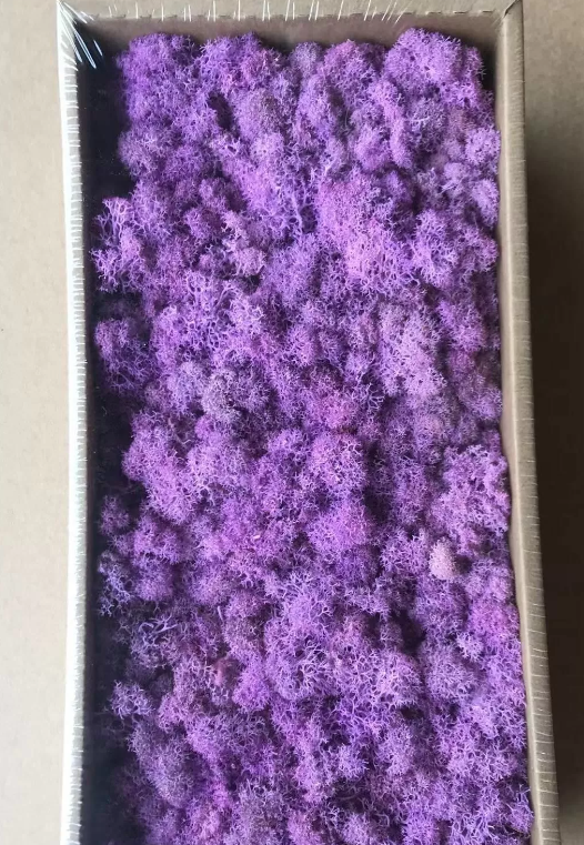 product_da7b2dd3a0a722398eea09e9c58ff325