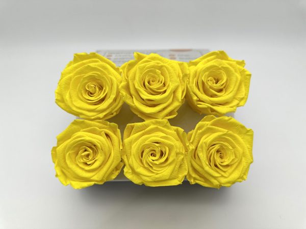 product_dc8f3f8585ee61421a5a808fc3648d3c