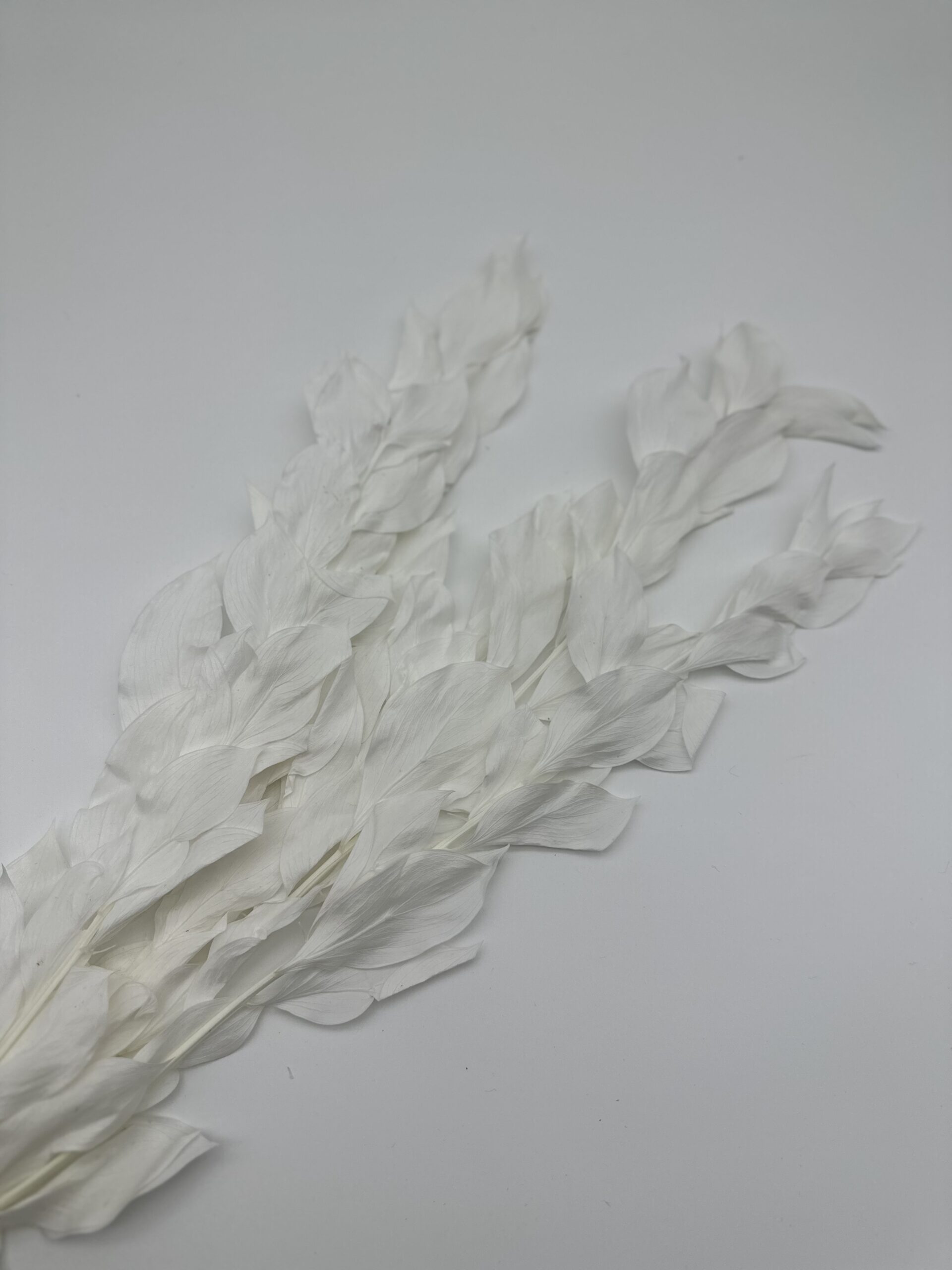 product_e5bba295ce64bf731579280b5b282b51