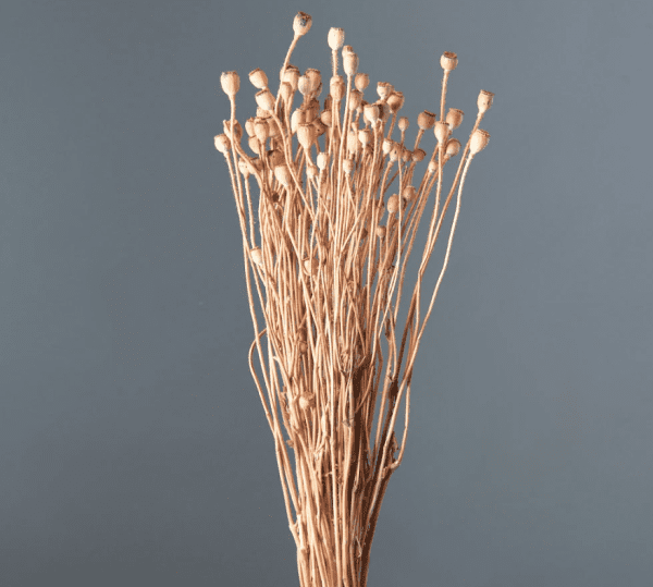 product_ea5399f6940a766fc078b571122b0b83