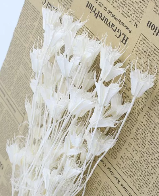 product_f0219555783e3fe86702f6c43c4ef573