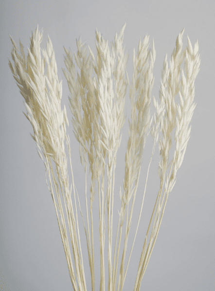 product_ff8233cc5a83030071553d61ab51f4e8