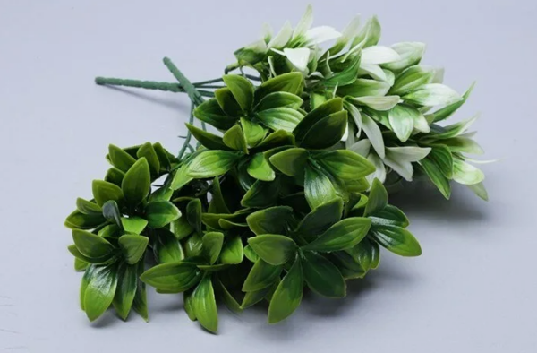 product image 00e759e8a01f792b558078b53b8a7c1a