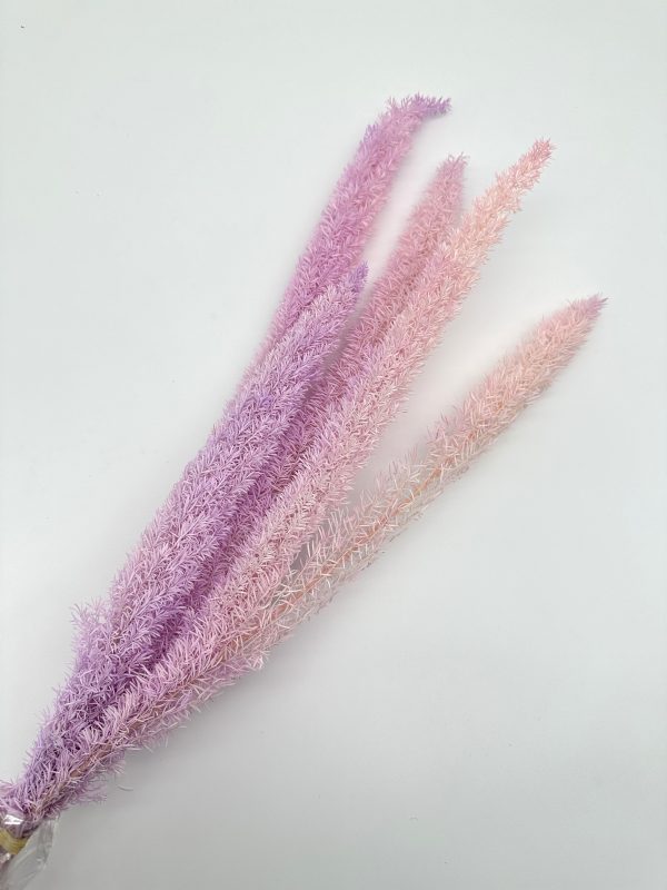 product image 012b5e6e8669fd10a500ca12c6959317 scaled