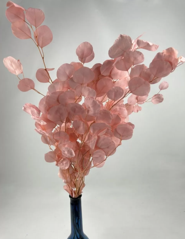 product image 015f30bbb5a8c1b086b648a48b08f7a4