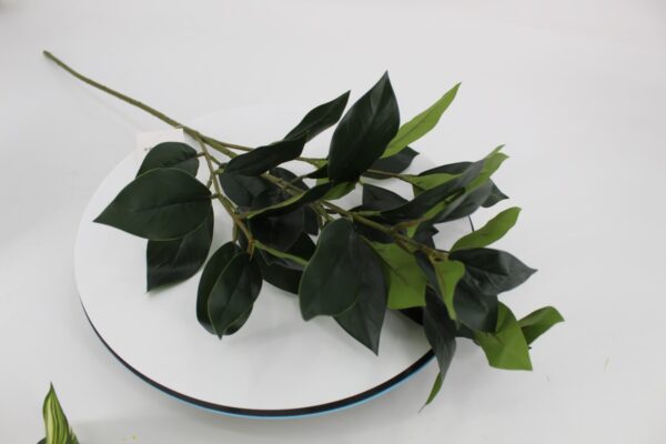 product image 023c16059daf89cd2f81bda23634531a