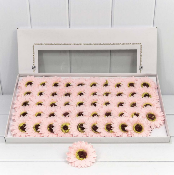 product image 02d57103859f637f68a09583f1d820f9
