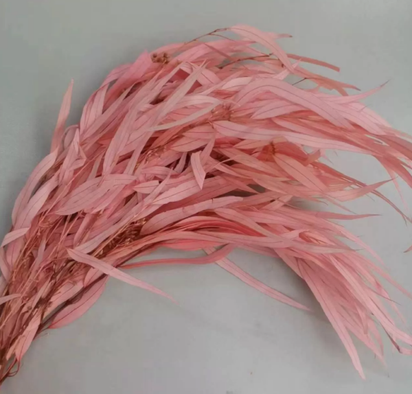 product image 0cc02a61cea01cb032917f44d5e00805