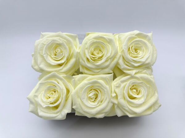 product image 11304068c718cc3f057f62e3841ecf22 scaled