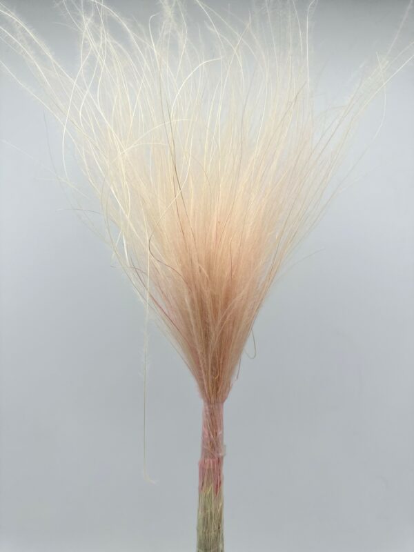 product image 14ed6fee5fbc2ad05d7b2fd3d229371c scaled