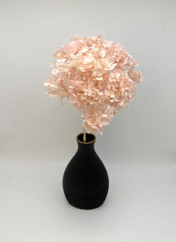 product image 18f5dd32c44260354db3f04a34877291 scaled