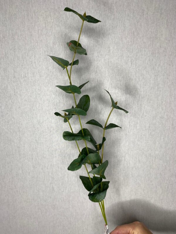 product image 1c2ef9196a98c7131c6e2c5b534d4821